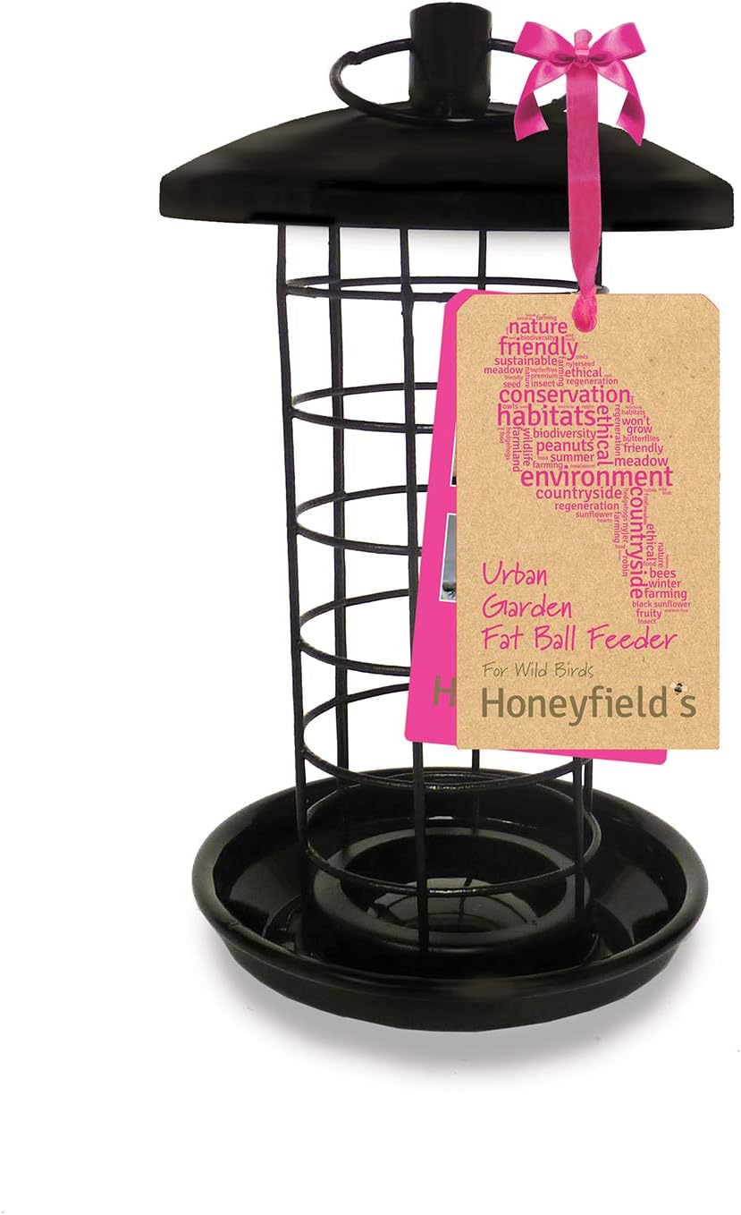 Honeyfields 71486697 Hanging Wild Bird Fatball Feeder