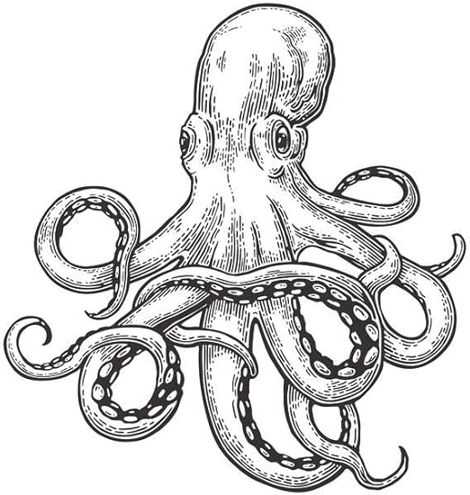 Amazon Com Octopus Drawing Portrait Engraving Style Artistic Stretched Canvas Wall Art 16x24 Inch Posters Prints