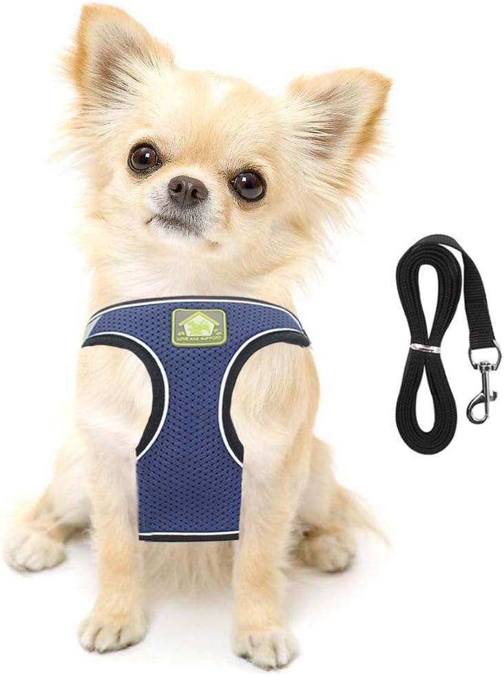 FEimaX Dog Harness and Leash Set for Small Medium Dog Cat No Pull Adjustable Soft Mesh Chihuahua Chest Harness Puppy Reflective Step-in Safety Vest for Outdoor Walking
