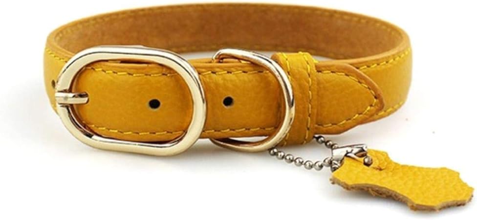 Leder Hundehalsband Personalisierte Halsbänder für große kleine Hunde