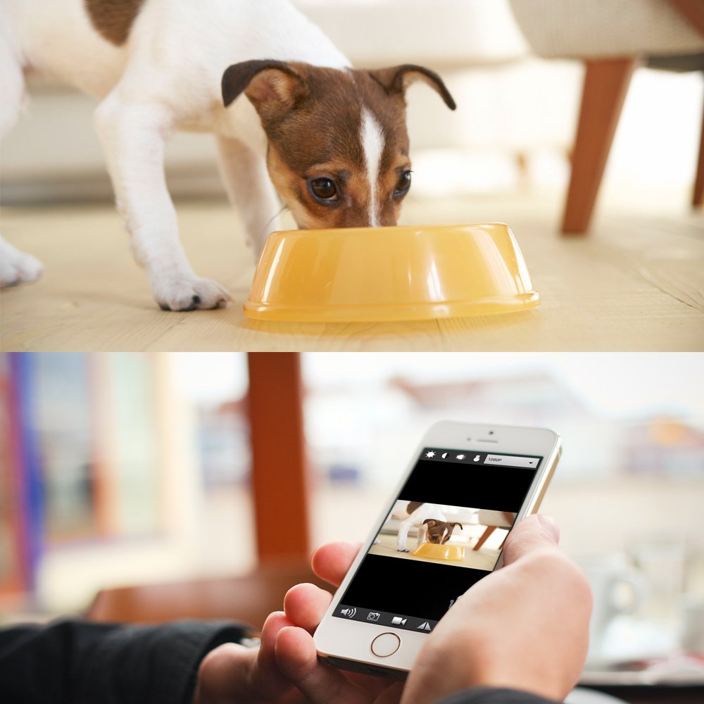 AISOUL Wi-Fi Hidden Camera Alarm Clock Full HD 1080P Real-time Video Spy Camera (Apple-shaped Hidden Camera)