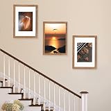 Scholar Tree Brown Wooden A4 Picture Frame Set of 3 with Mount view 3