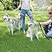 IMK9 Leather Dog Leash – 6 ft Big Dog Training Leash - Double Handle Best for Pulling Medium and Large Pets – 6 Foot Long Heavy Duty Leather Lead Brown