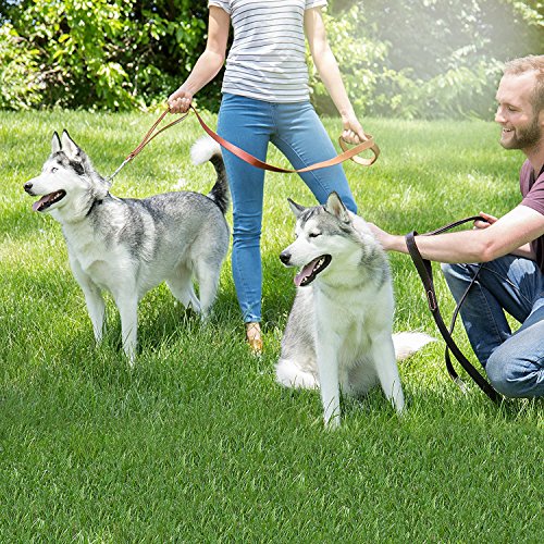 Leather Dog Leash – 6 ft Big Dog Training Leash - Double Handle Best for Pulling Medium and Large Pets – 6 Foot Long Heavy Duty Leather Lead - IMK9 Brown
