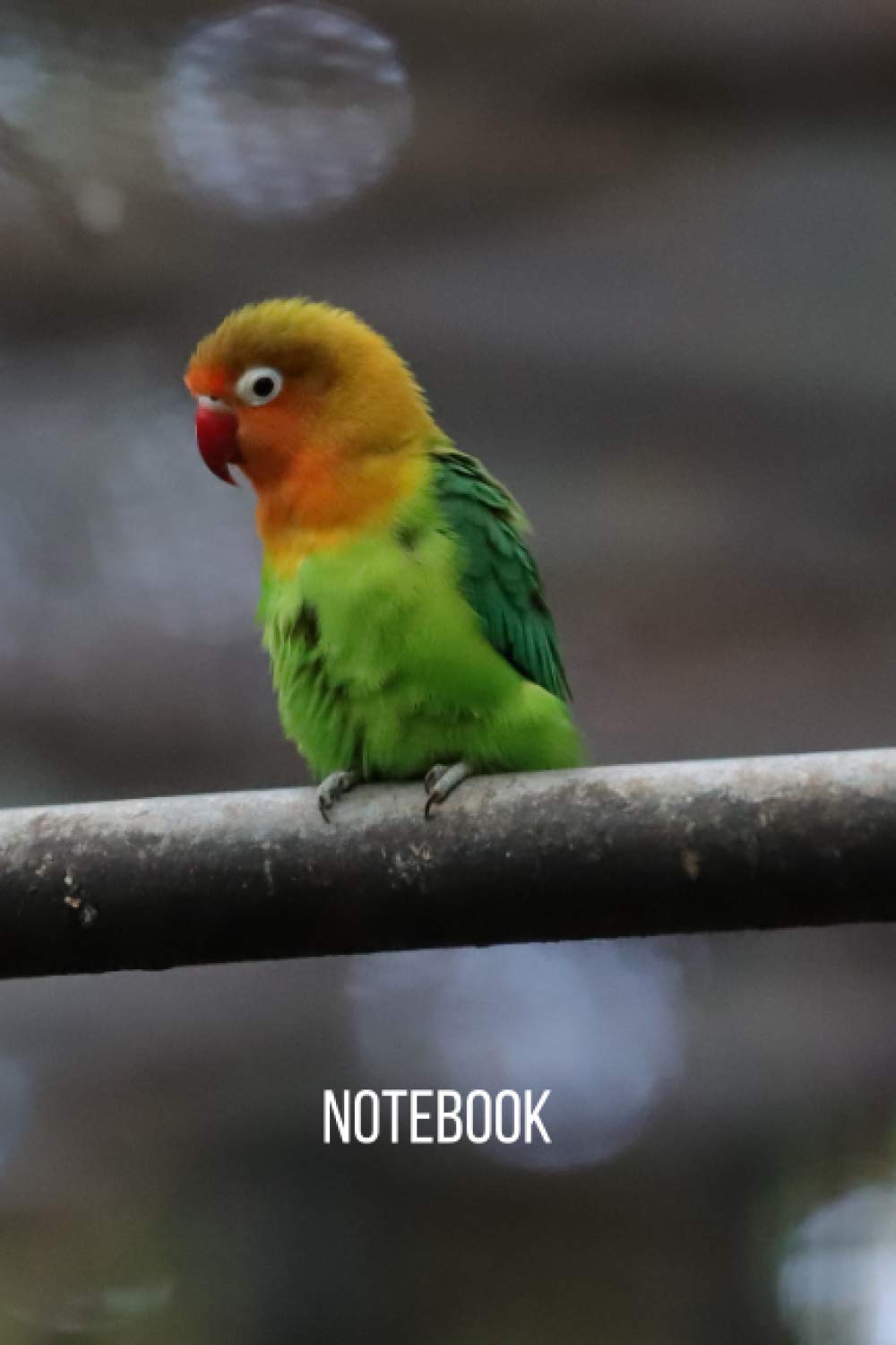 Lovebird Notebook: blank lined composition journal | Lovebird notebook | 100 pages