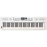 Roland GO:KEYS 5 Music Creation Keyboard, 61-Note, White | Built In Stereo Speakers, Mic Input, Bluetooth Audio/MIDI Support for Music Streaming, White