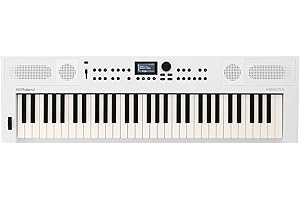 Roland GO:KEYS 5 Music Creation Keyboard | 61-Note Keyboard | Built-In Stereo Speakers | Mic Input | Bluetooth Audio/MIDI Sup