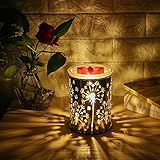 COOSA Metal Dandelion Design Oil Warmer Aromatheraphy Electric Incense Wax Tart Burner Fragrance Candle Wax Warmer for Home Bedroom Living Room (3-Level Dimmer, Touch Sensitive Control, Night Light)