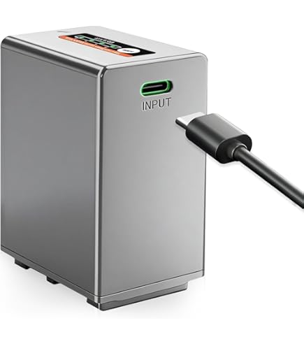 Amazon.com : NP-FV100 NP-FV100(A) High Capacity 'Intelligent