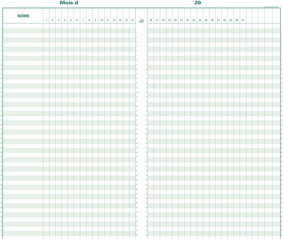 Exacompta 40x24cm Vertical Record Keeping Book, 46 Lines, 80 Pages (French), Mixed Colours - Image 3