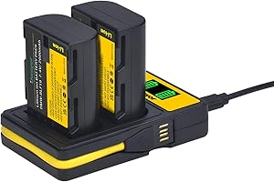 Uwayor 2 Pack DMW-BLF19 Battery and Dual Charger for Panasonic DC-G9 DMC-GH5 DMC-GH3 DMC-GH3A DMC-GH3H DMC-GH4 DMC-GH4H DC-GH