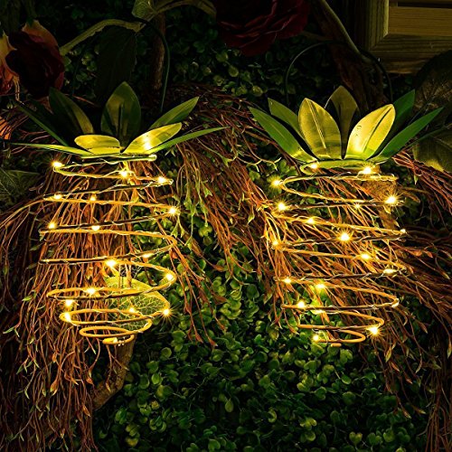 image for Allytech 2 Pack Solar Garden Lights - Pretty Nice Waterproof LED Pinea