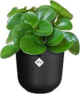 elho Jazz Round 23cm Flower Pot Indoor Plant Pot 100% Recycled Plastic Black view 9