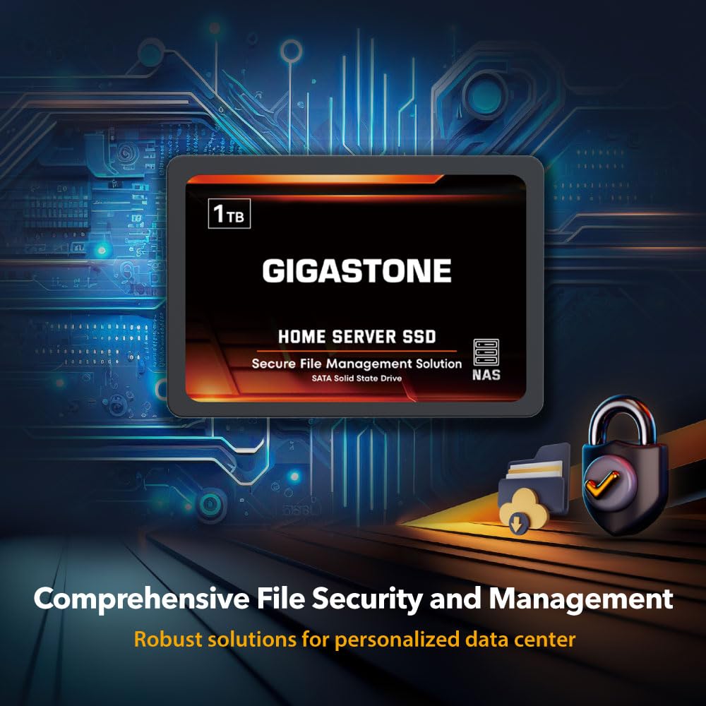 Gigastone Home Server SSD 1TB NAS SSD Drive Cache 24/7 Durable TLC High Endurance Personal Cloud Data Sync Network Attached Storage RAID 3D NAND 2.5
