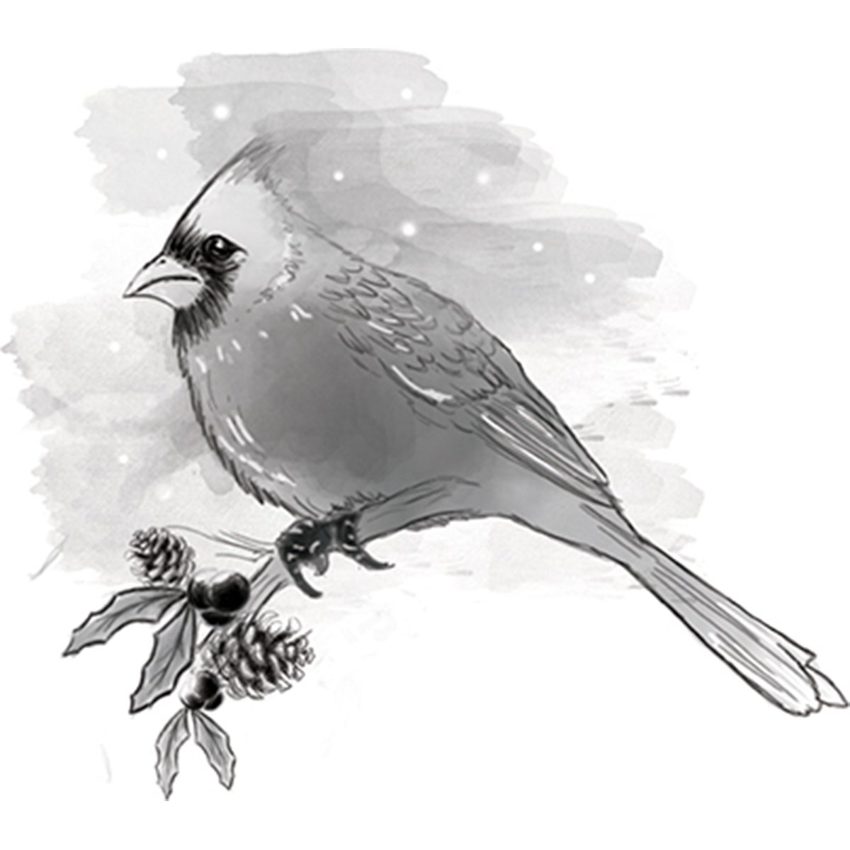 Spellbinders Cardinal 3D Shading Stamp, Multicoloured