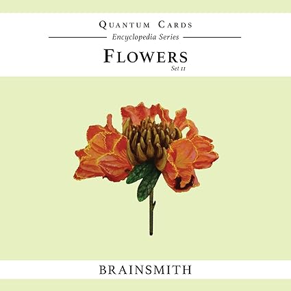 Brainsmith Quantum Flashcards, Flowers - Learning Flash Card Set 2 for Toddlers and Kids (8 months to 8 years) for Visual Memory and Brain Development