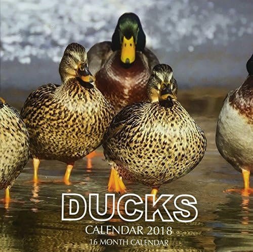 Ducks Calendar 2018: 16 Month Calendar
