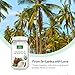 Anjou Coconut Oil, Organic Extra Virgin, Cold Pressed Unrefined for Hair, Skin, Cooking, Health, Beauty, USDA Certified, 11oz