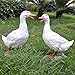 Accreate Simulation Duck Crafts Realistic Garden Resin Artificial Model Sculpture Decor Outdoor Statues