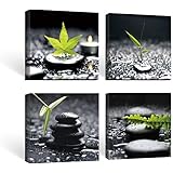 SUMGAR Black and White Wall Art Paintings on Canvas for Bathroom Zen Stone and Green Leaf Pictures