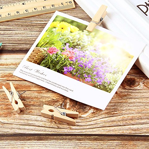 Push Pins with Wooden Clips Thumb Tacks Office Thumbtack Map Pushpins for corkboard Decorative Artworks Notes Photos and Craft Projects (20 Pack)