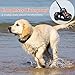 Dog Training Collar with Remote - Advanced Rechargeable Training Collar for Dogs,Easy to Carry & Fits in Your Pocket,100% Waterproof Trainer