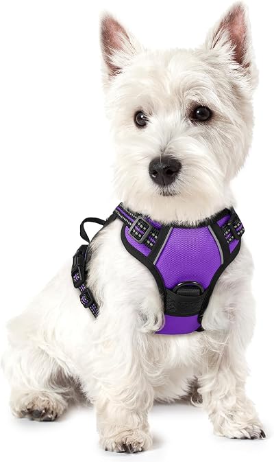 rabbitgoo Dog Harness Small No Pull Reflective Adjustable Vest Purple XS
