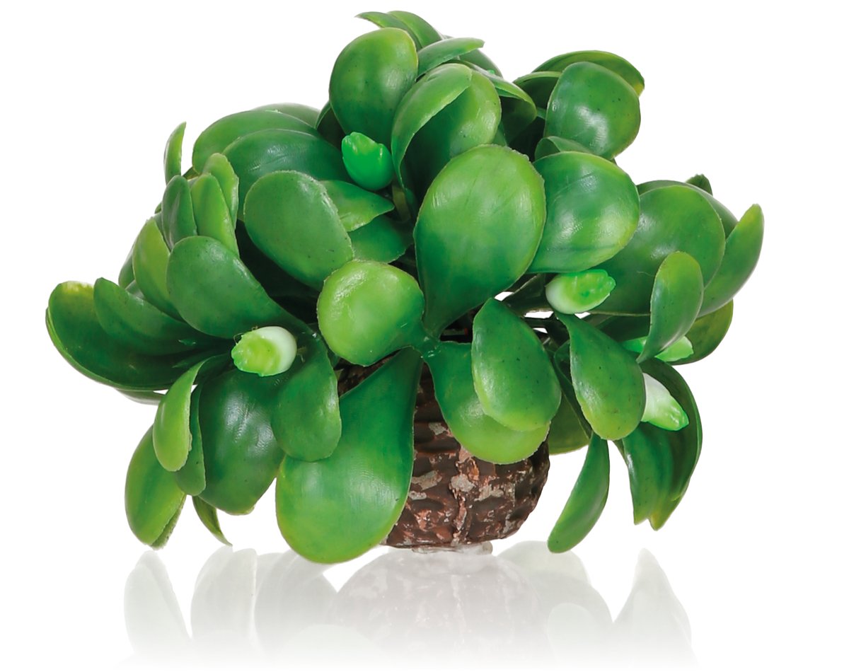 biOrb Mistletoe Ball