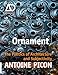 Ornament: The Politics of Architecture and Subjectivity by Antoine Picon