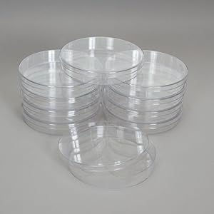 Petri Dish, Deep and Wide, 25 x 150 mm, Pack of 12