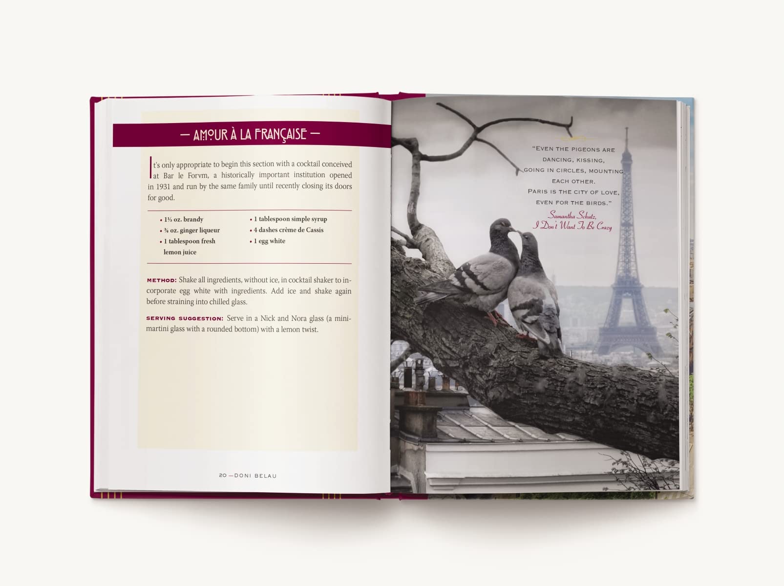 Paris Cocktails, Second Edition: An Elegant Collection of Over 100 Recipes Inspired by the City of Light (City Cocktails)