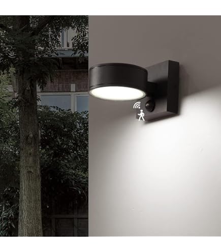 Home Decorators Collection, DW7178BK, LED Outdoor Black Medium