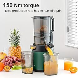 300W Slow Juicer - 13cm Feeding Chute, Portable