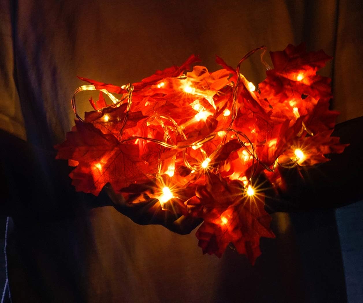 Maple Leaf Lights - Image 3