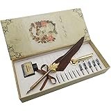AIVN Caligrapher Pen with Feather Quill Pen, Calligraphy Set with 12 Nibs for Writing and Perfect Gift Pen