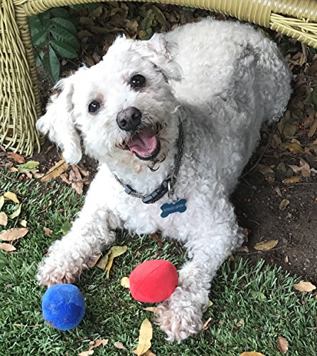 12 Pack Plush Squeaky Balls for Dogs or Cats - Red, Blue, Yellow