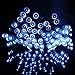 ER CHEN(TM) Indoor and Outdoor Waterproof Battery Operated String Lights on 10M PVC String with Flash and Timer Function (Day White)