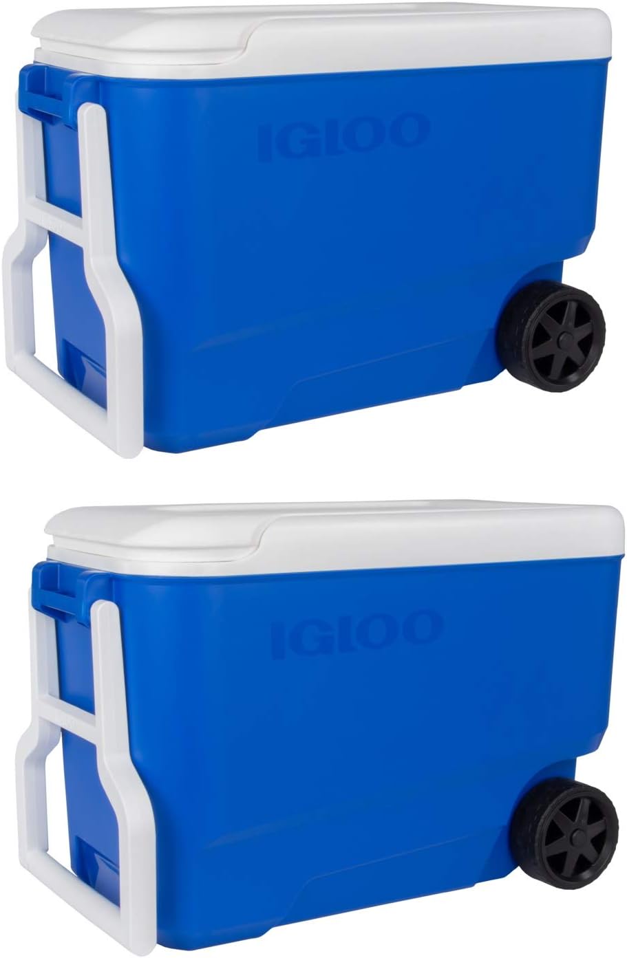 igloo wheelie cool 38