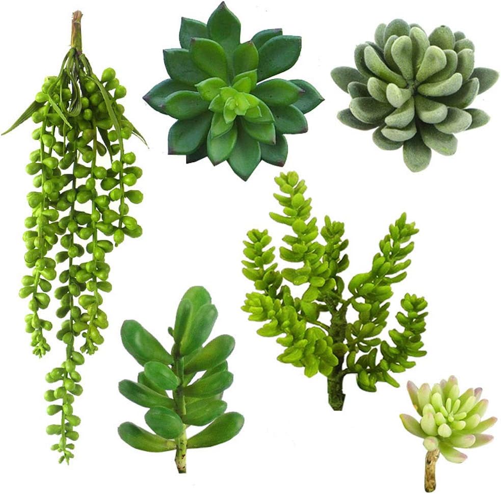 Jiajie Artificial Succulent Plants 6Packs Assorted Faux Succulent