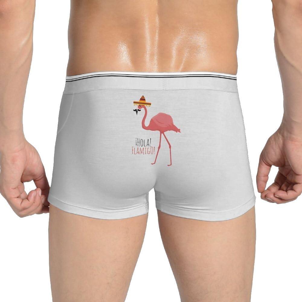 StanRob Hola Flamingo Men's Boxer Briefs Low Rise Underwear Trunks For Boy White