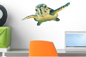 Wallmonkeys WM300676 Hawksbill Sea Turtle Isolated on White Background Peel and Stick Wall Decals, 18" W x 9" H-Small
