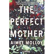 The Perfect Mother: A Novel