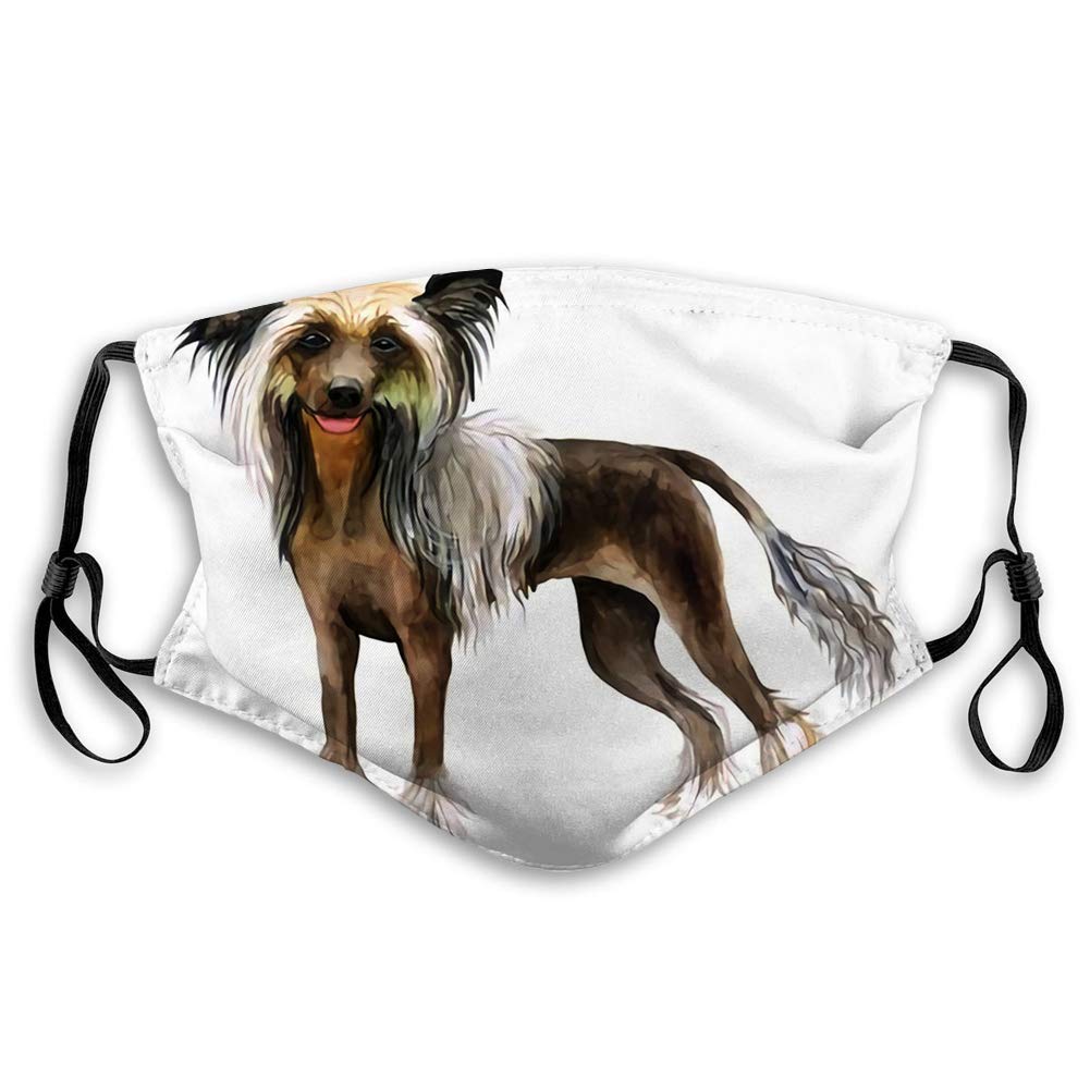 Windproof Activated Carbon mask,Watercolor Closeup Portrait Cute Chinese Crested Breed Dog No Fur Ha,Facial decorations for adult Women and Men Seniors