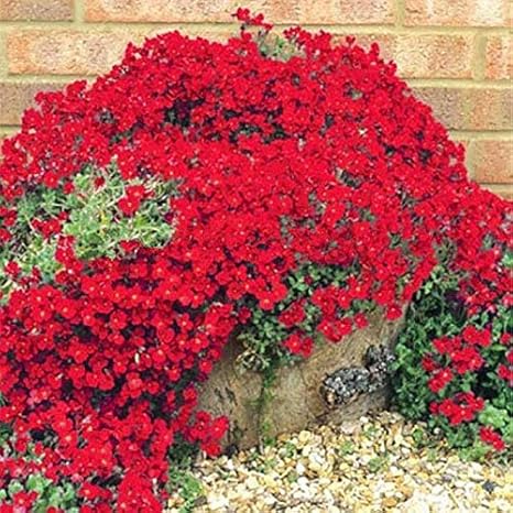 Data Di Rilascio Miglior Fornitore Tecnologie Sofisticate