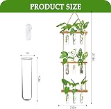 XXXFLOWER Wall Hanging Propagation Station 3 Tier Wooden Stand 9 Test Tubes view 2