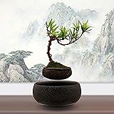 Thinker9999 Japanese style Levitating Air Bonsai Pot - Magnetic Levitation Suspension flower (Gray)