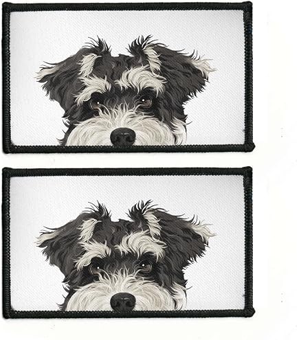 Perro Pastor Australiano Guapo Y Bien Cuidado, Acostado De Lado