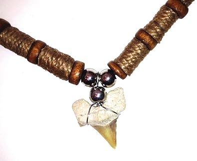 dog tooth necklace