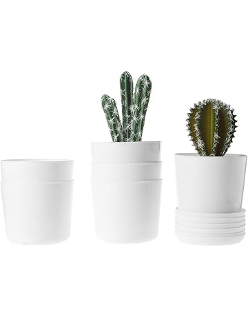 Amazon.es: Semilleros - Invernaderos y equipos de germinación: Jardín