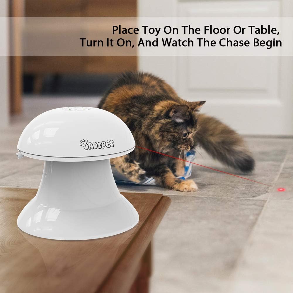 DADYPET Cat Laser Toy, 2 in 1 Automatic Non-Handheld Cat Chaser Toy and Interactive Feather Toy, Auto Rotating Light Cat Chaser Toy for Cats and Dogs : Pet Supplies